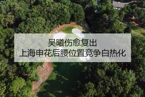 吴曦伤愈复出 上海申花后腰位置竞争白热化